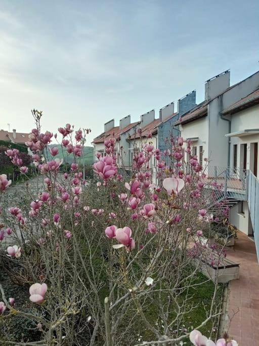 Terraza Y Piscina Con Vistas Espectaculares Al Mar Parking Cubierto Daire San Vicente De La Barquera Dış mekan fotoğraf